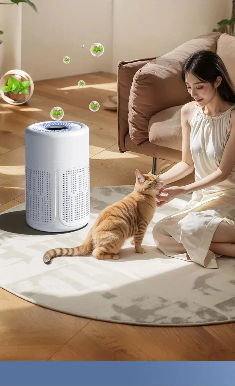 Mini Desktop Air Purifier HEPA Filter With Negative Ion Technology Eliminates Formaldehyde Odors Smoke And Dust Particles